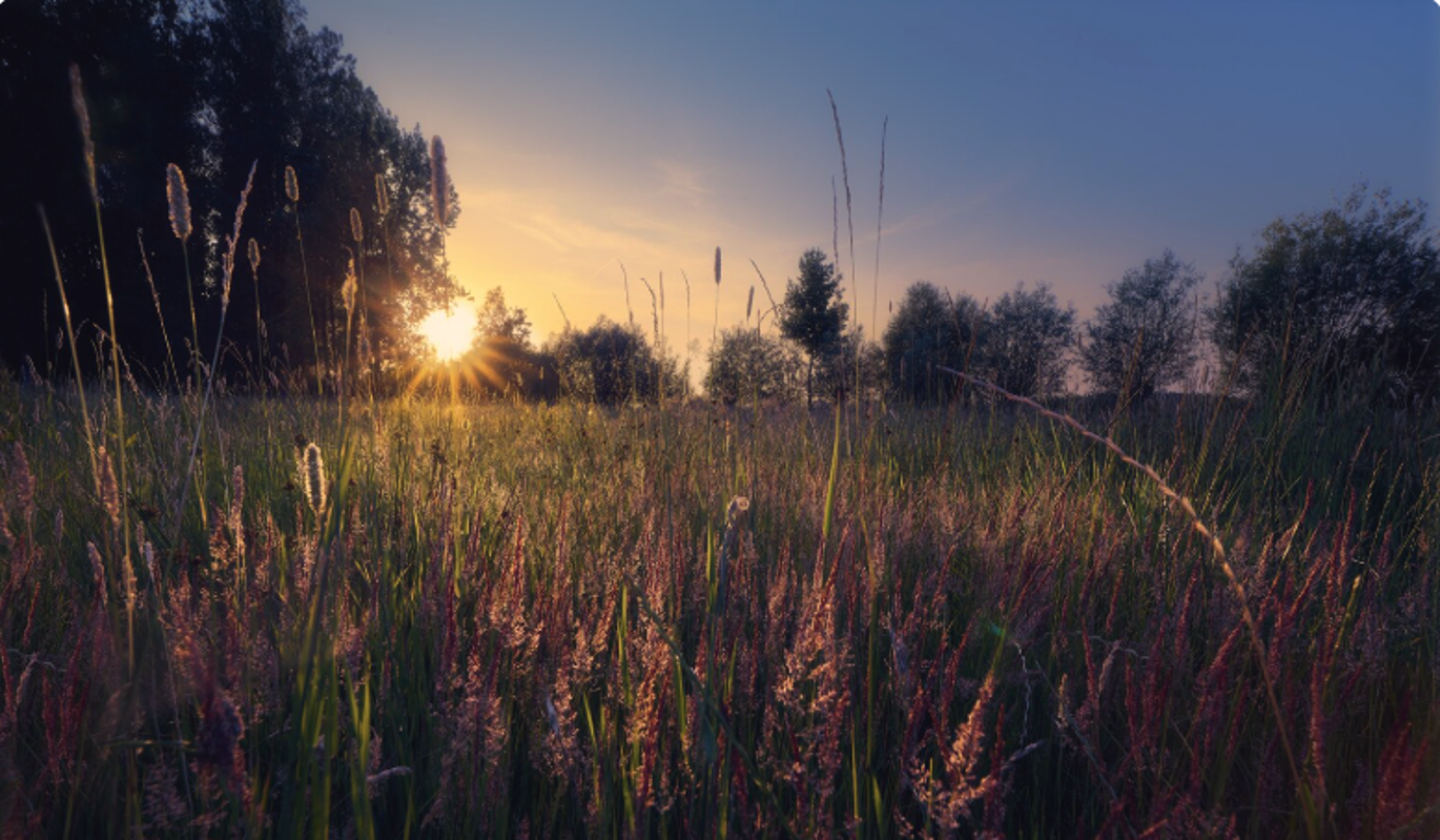 Что нельзя делать 12 августа, в день Иоанна Воина, чтобы не нажить финансовые проблемы